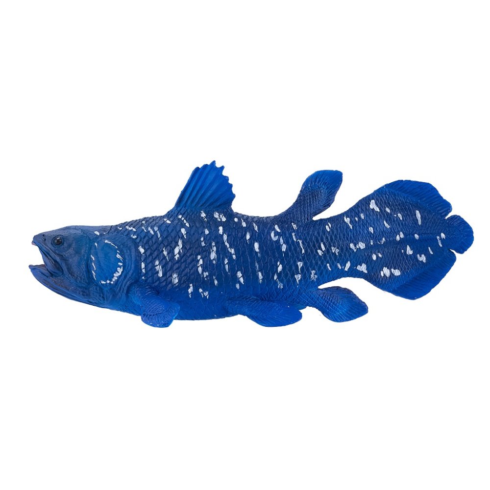 Mojo Coelacanthe – Image 6
