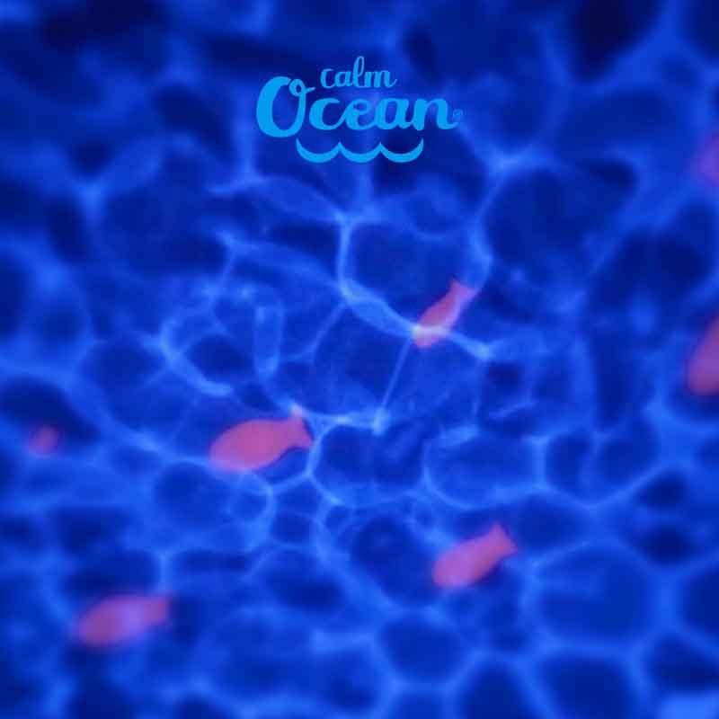 PABOBO Beruhigender Meeresbodenprojektor Mit Melodien Und Weißem Rauschen Calm Ocean Blue