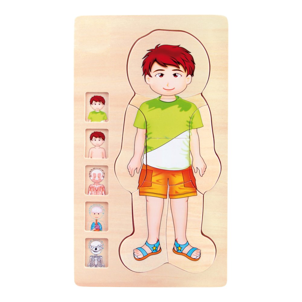 small foot Fa játék anatómiai puzzle Tim