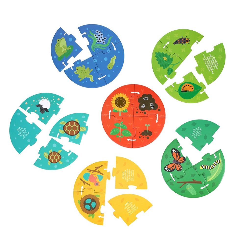 Puzzle Petit Collage pour les explorateurs Cycle de vie