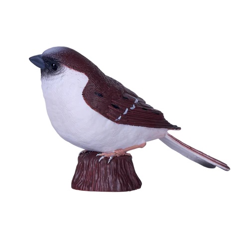 Mojo Vrabec domácí v krabičce (obrázek 3)