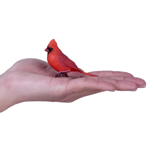 Mojo Kardinál červený v krabičce (obrázek 4)