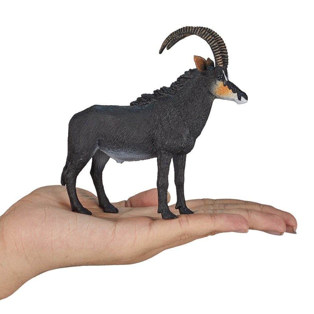 Mojo Antilopa vraná (obrázek 3)