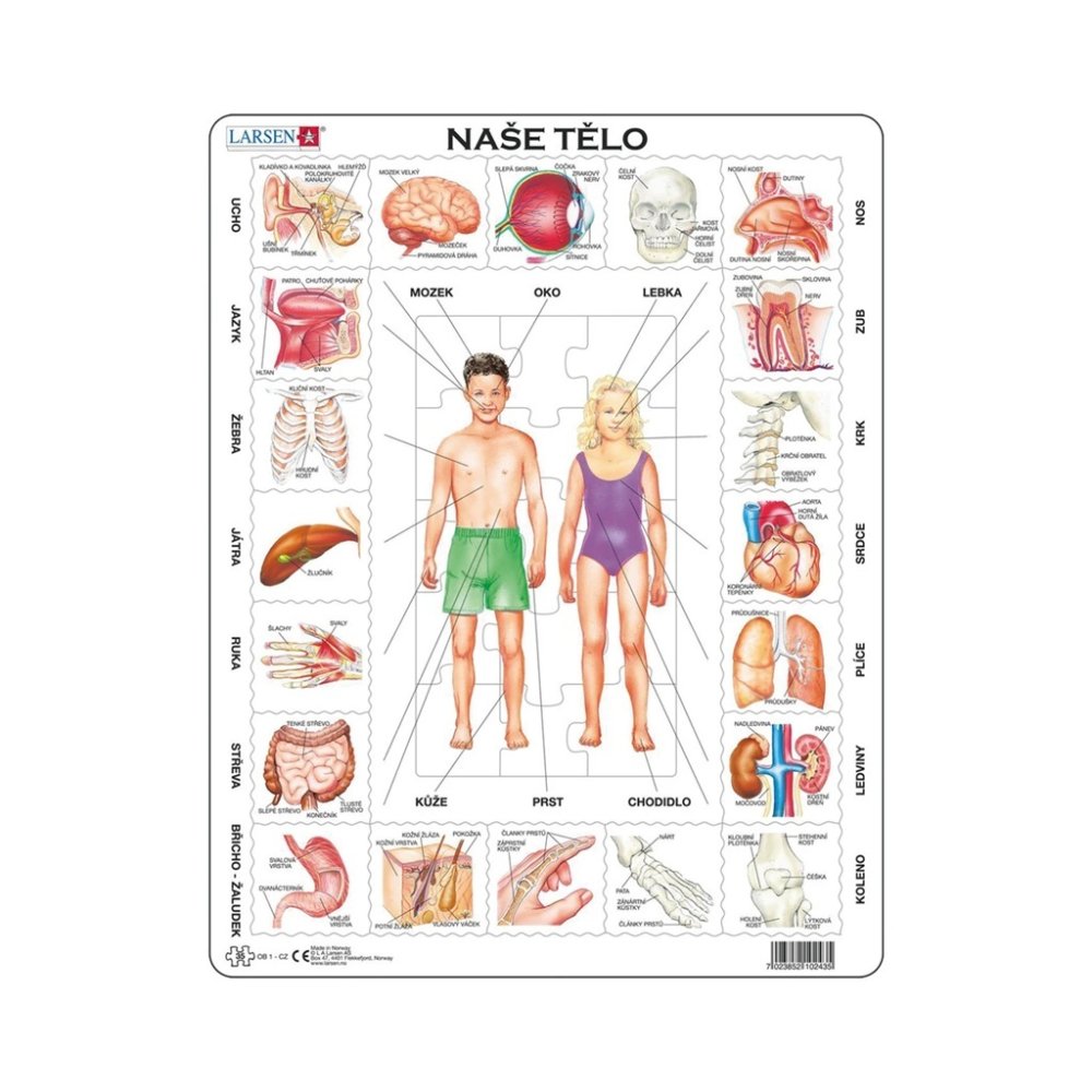 Larsen Vzdělávací puzzle Naše tělo 35 dílků