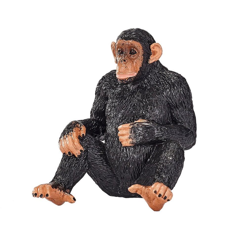 Mojo Chimpanzé – Image 4