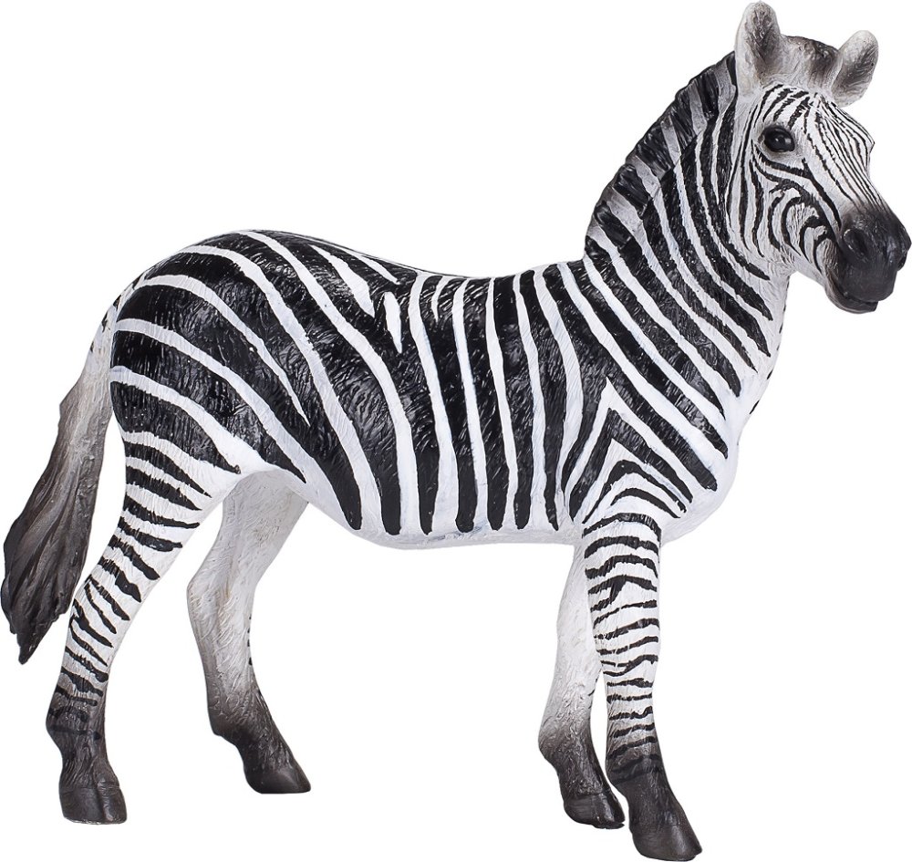 Mojo Zebra femmina