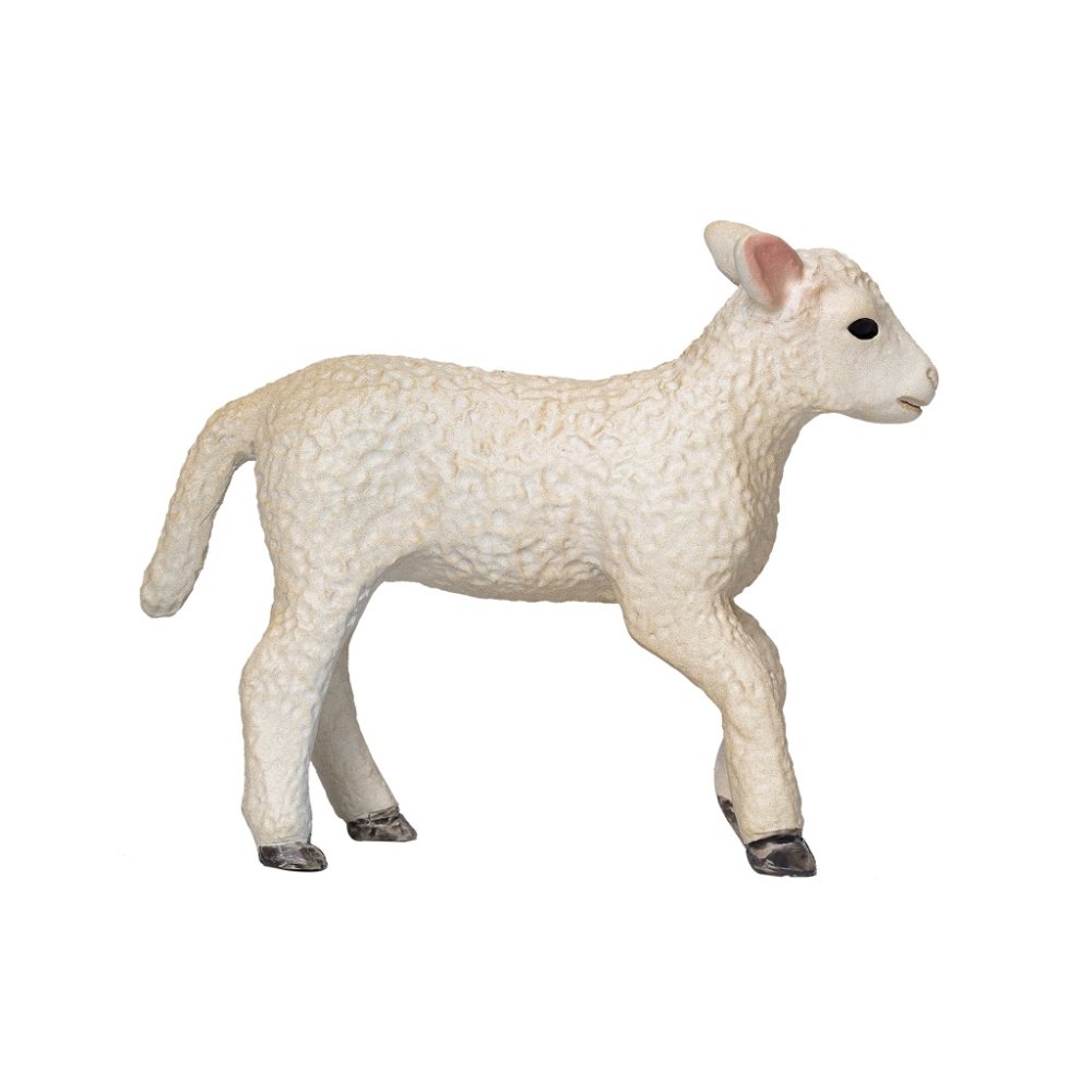 Mojo Agnello Romney Marsh che corre - immagine 4