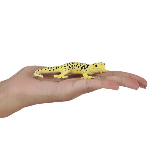 Mojo Geco leopardino - immagine 4