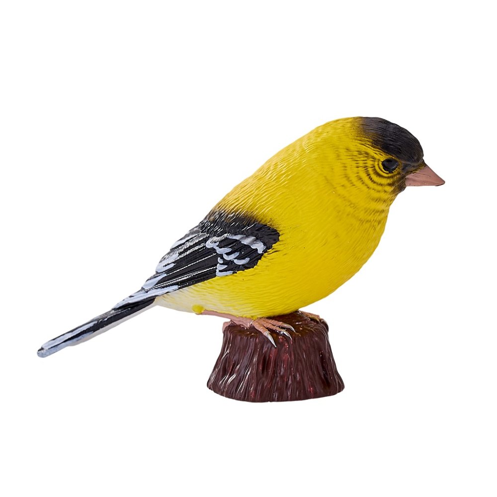 Mojo Serin cini jaune – Image 6