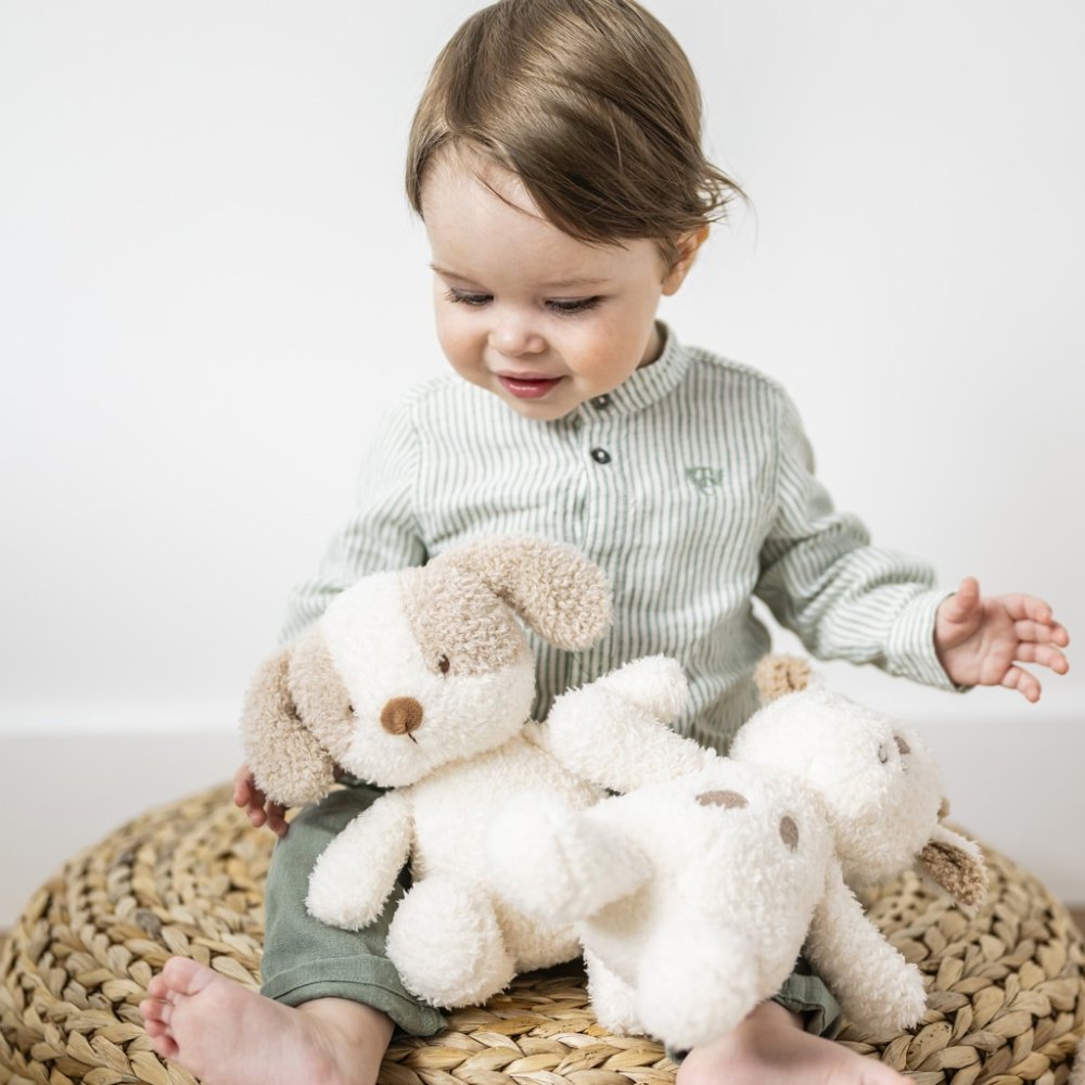 NATTOU Hračka plyšová Teddy pejsek 24 cm, 0m+ (obrázek 5)