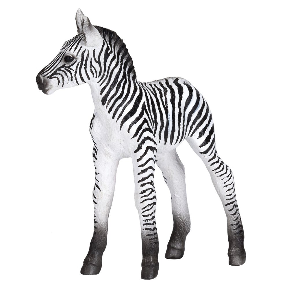 Mojo Zebra mládě (obrázek 2)