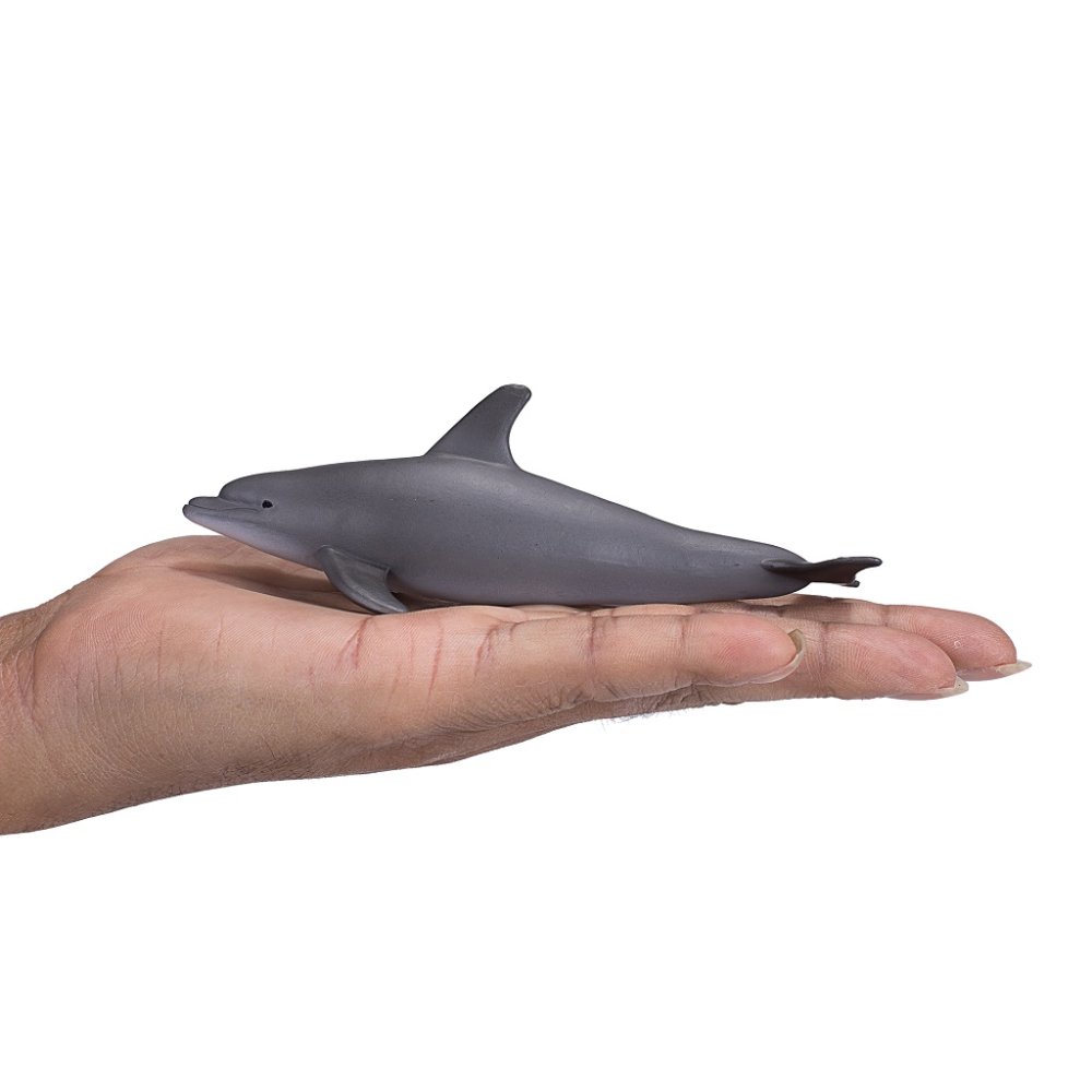 Mojo Delfín skákavý (obrázek 5)