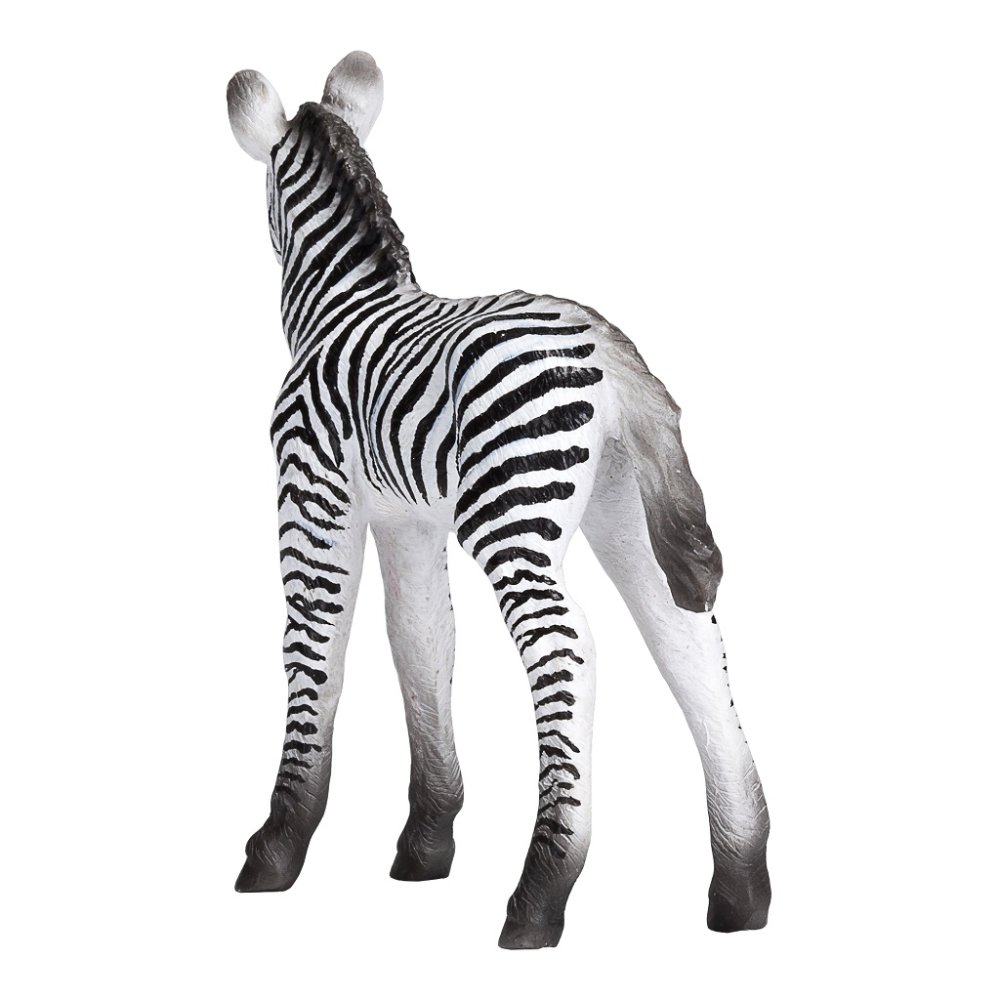 Mojo Zebra mládě (obrázek 3)