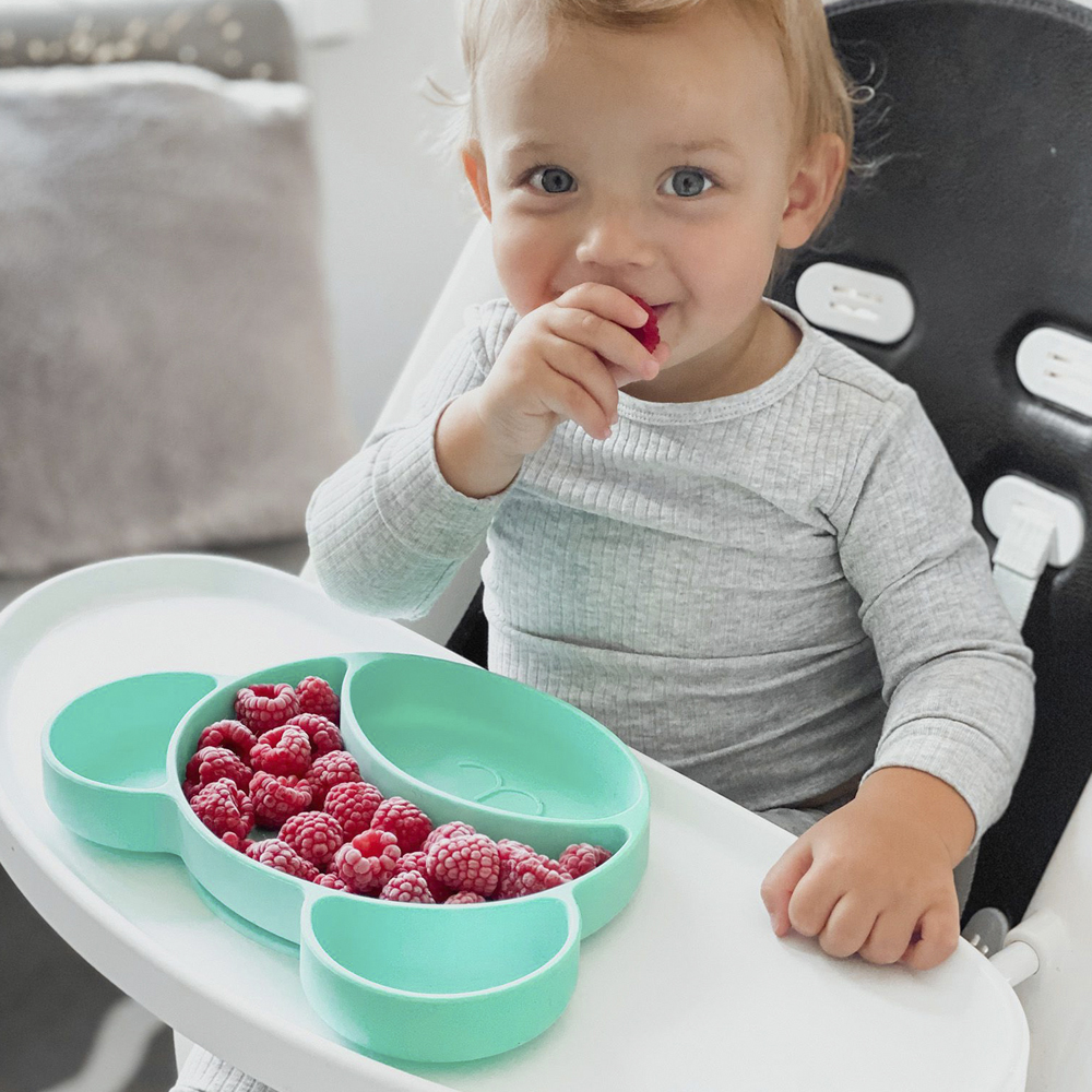 CANPOL BABIES Delad Silikonplatta Med Sugkopp Teddybjörn Turkos