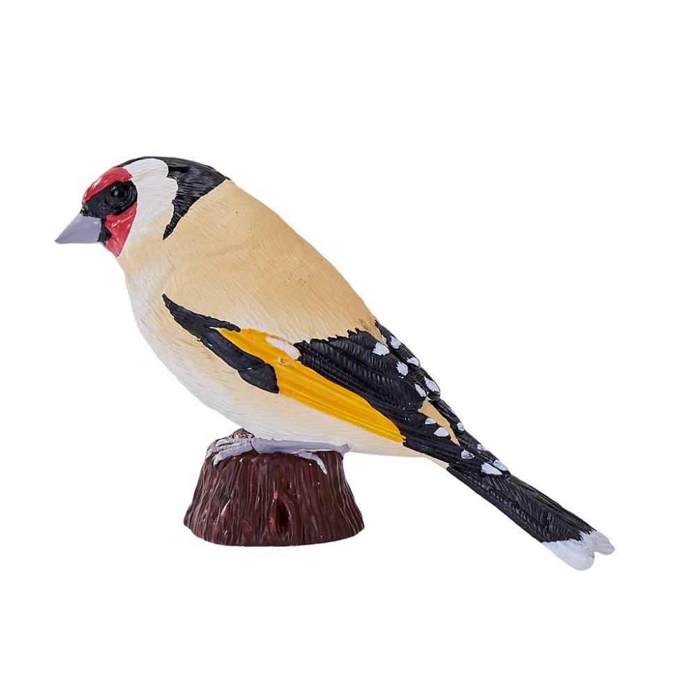 Mojo Cardellino - immagine 4