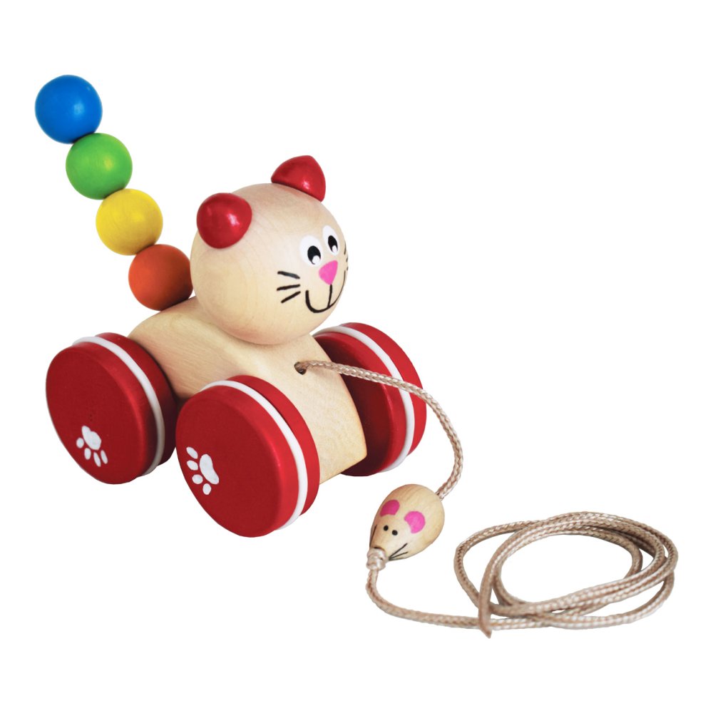 Detoa Chat avec souris