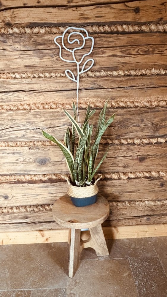 2Kids Toys LED NEON LIGHT lampka Róża - obrazek 6