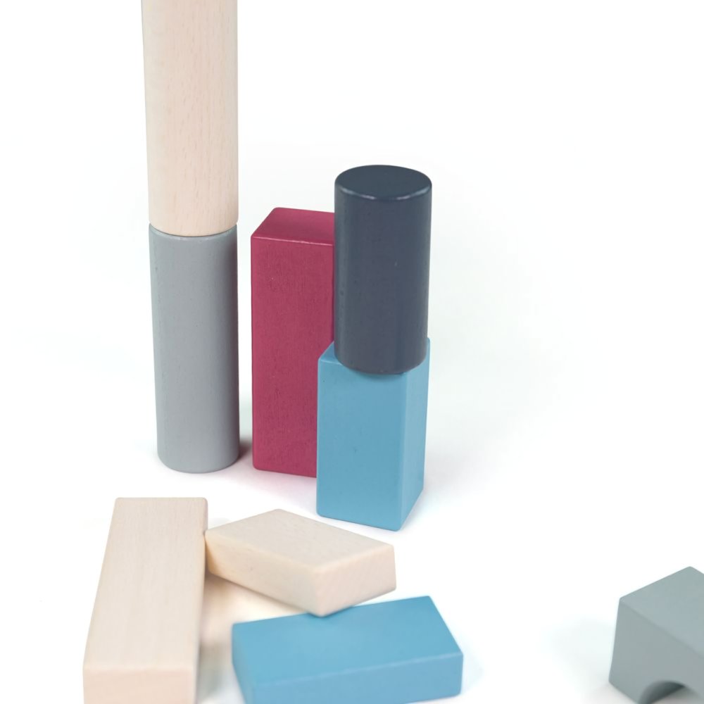 Bigjigs Toys Kyblík s kostkami 50 ks (obrázek 3)