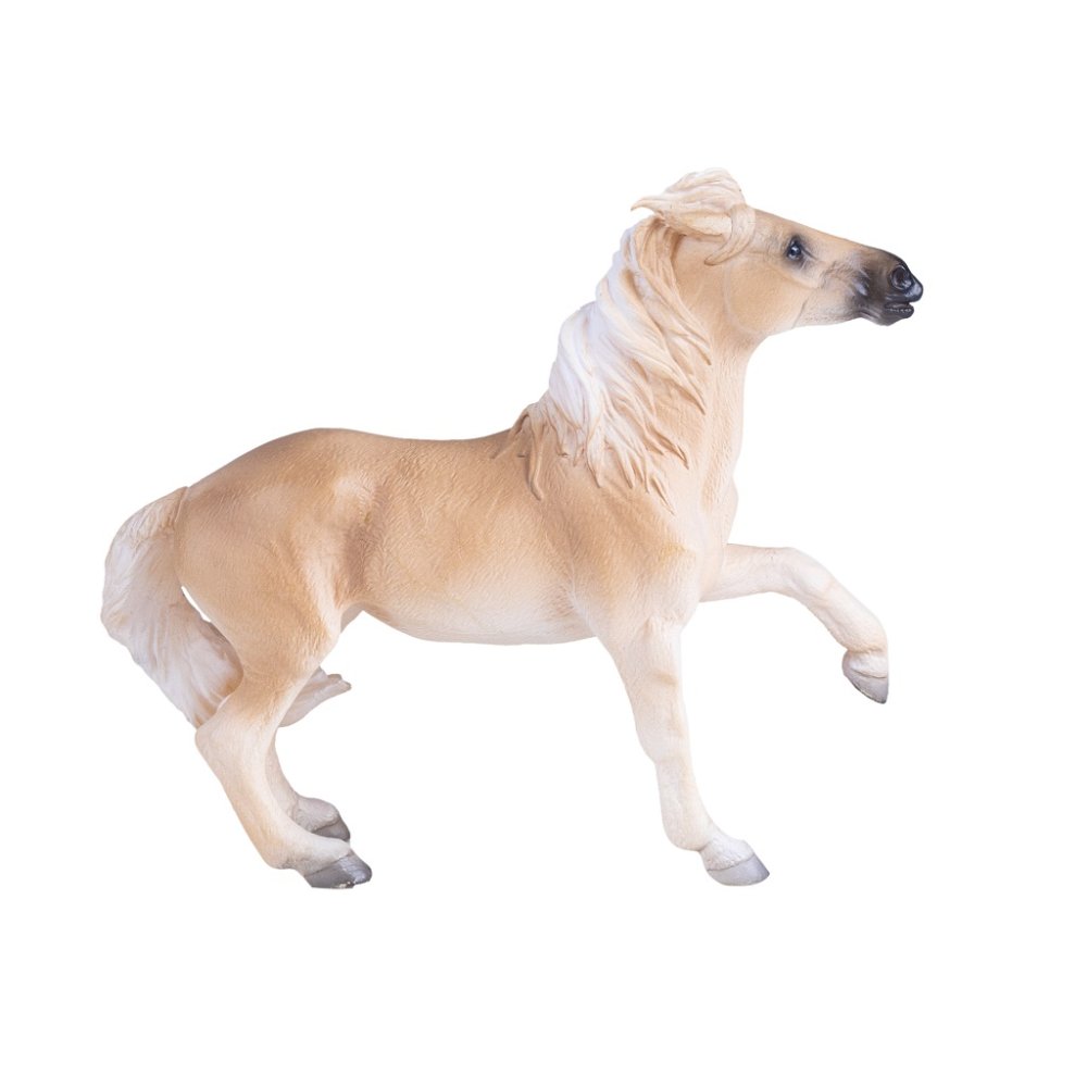 Mojo Kobyla Brumby (obrázek 3)