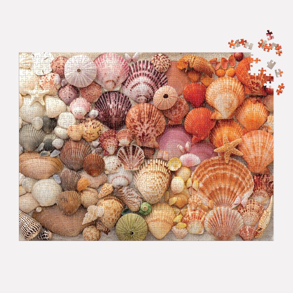 Puzzle Galison Muszle Blasku 1000 elementów (zdjęcie 5)