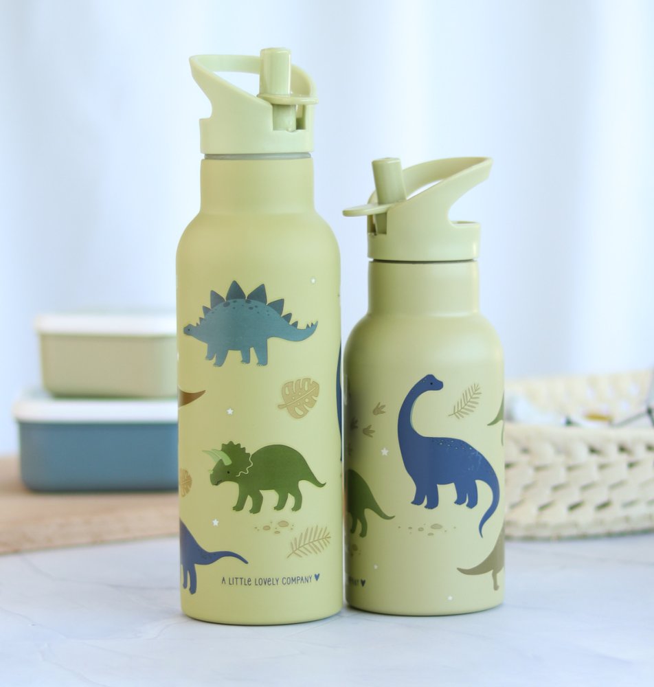 A Little Lovely Company - Borraccia in acciaio inossidabile, 500 ml - dinosauri - immagine 6