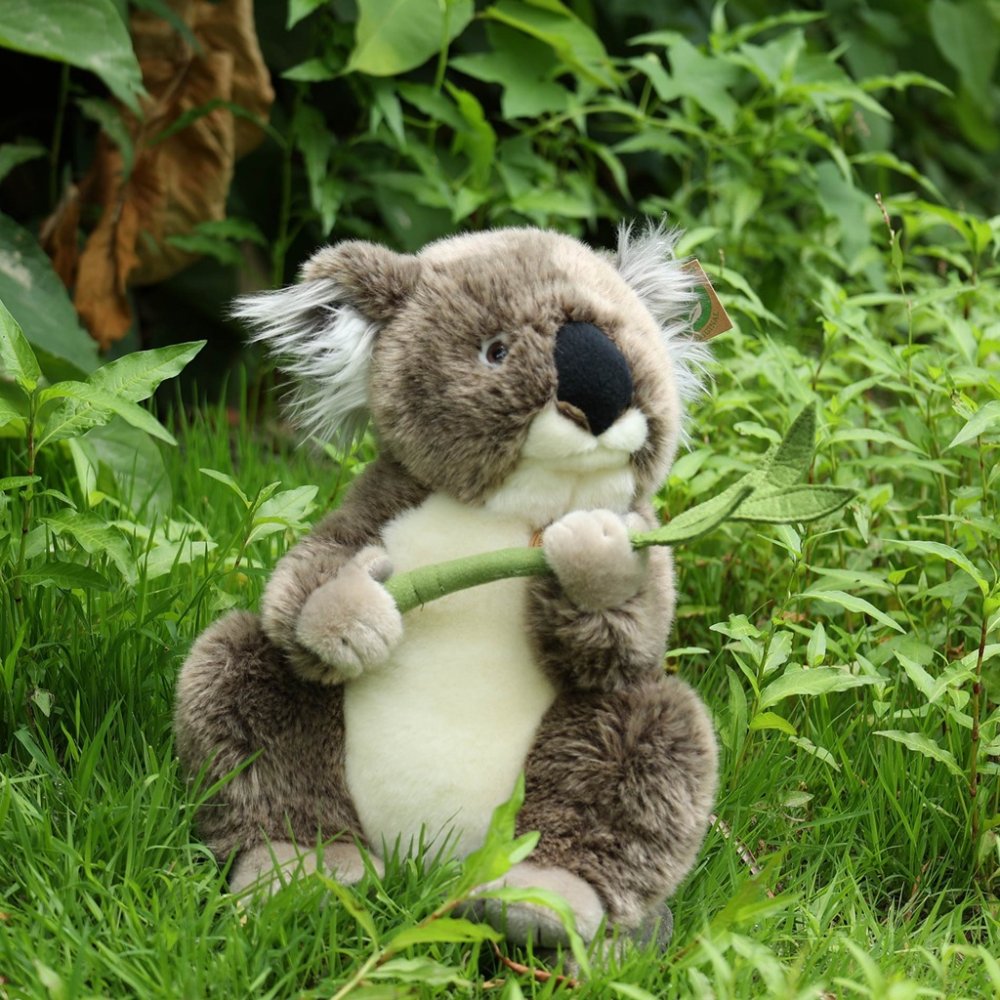 Rappa Pluszowa koala 30 cm ECO-FRIENDLY - obrazek 4