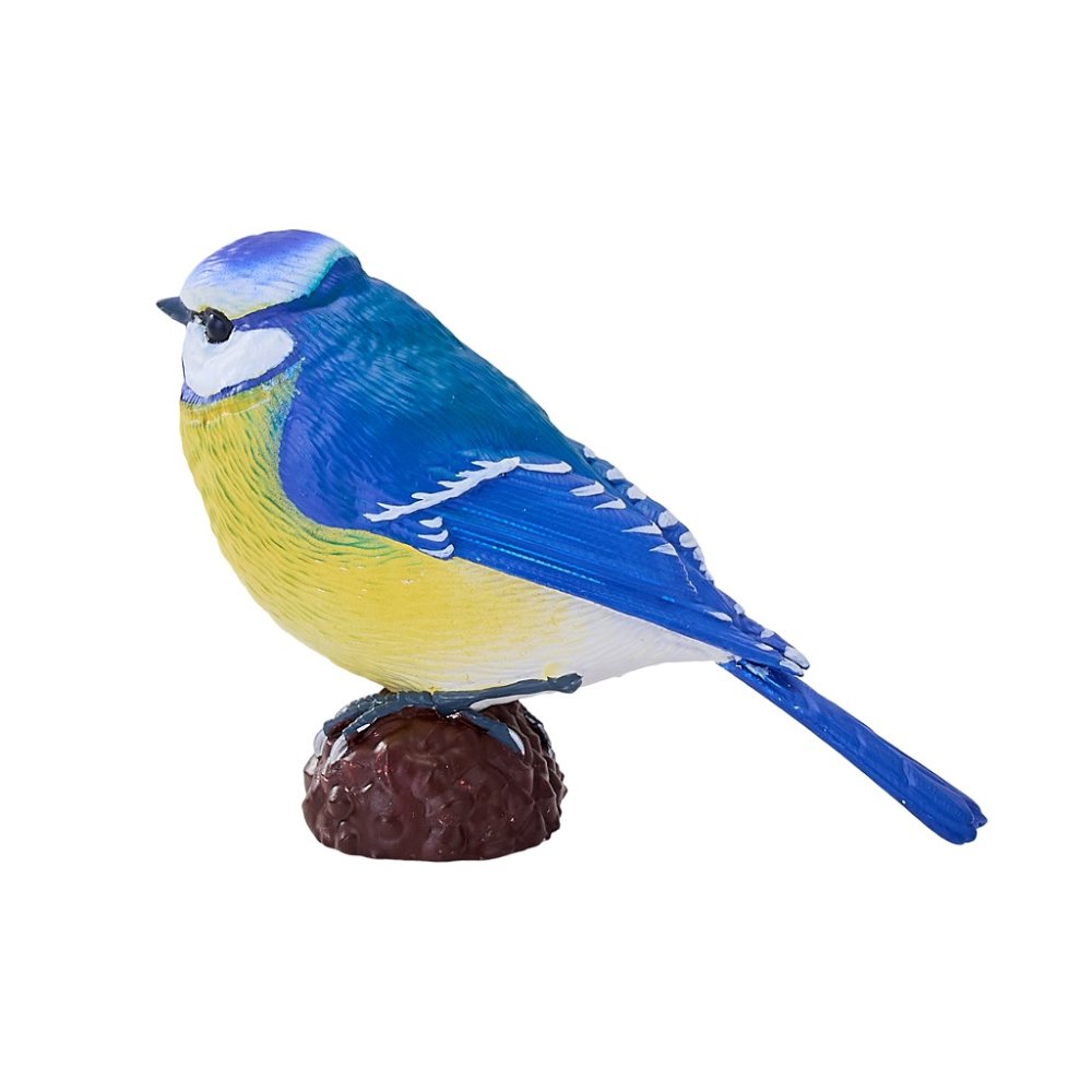 Mojo Herrerillo común - Imagen 3