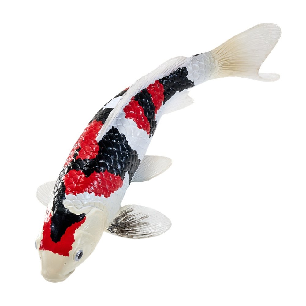 Mojo Kapr koi showa sanshoku (obrázek 4)