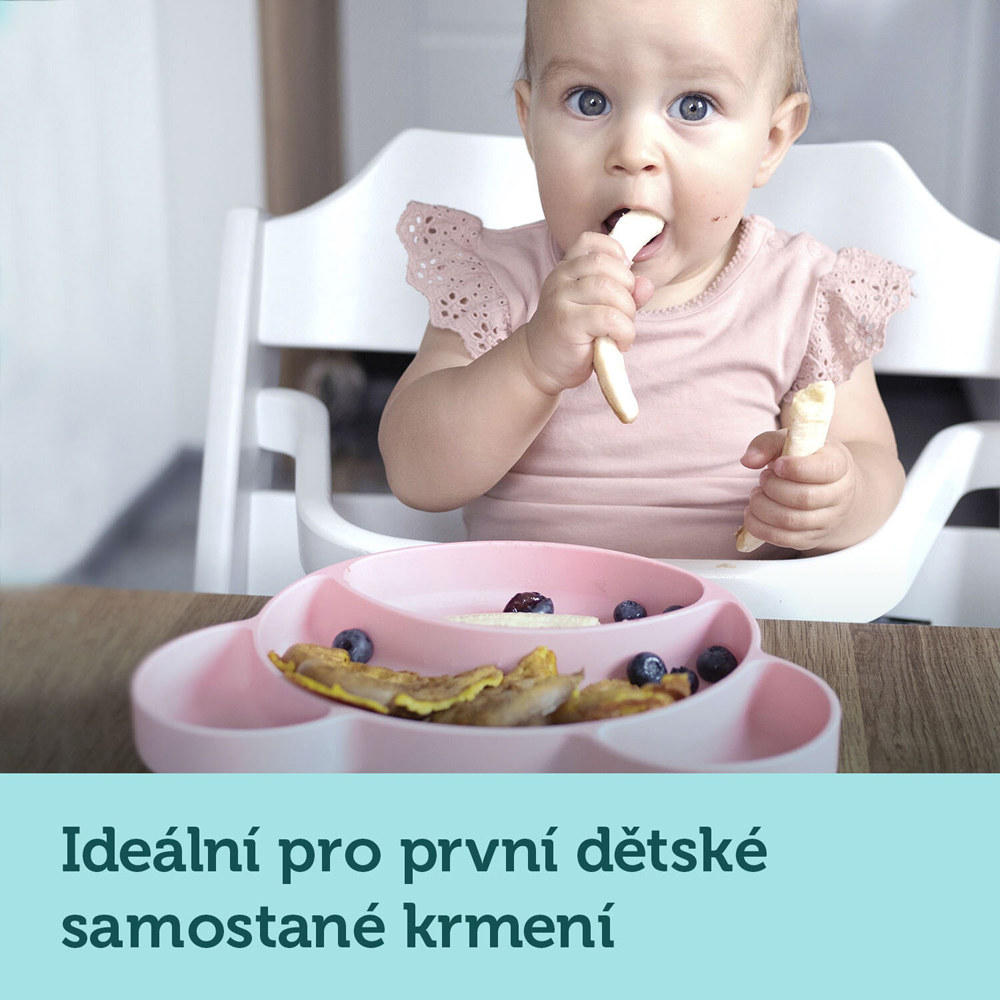 CANPOL BABIES Delad Silikonplatta Med Sugkopp Teddybjörn Turkos