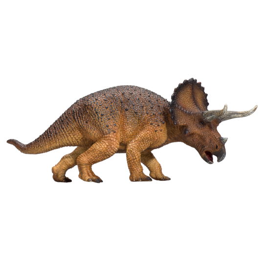 Mojo Triceratops duży