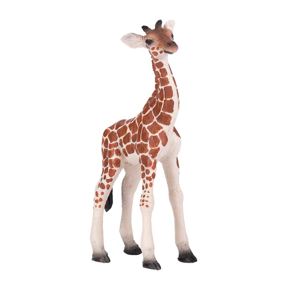 Mojo Bébé Girafe – Image 6