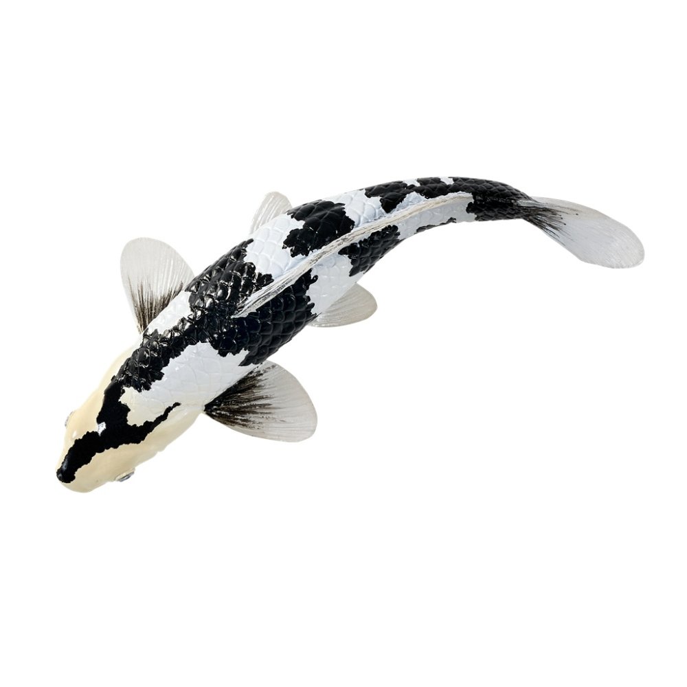 Mojo Kapr koi shiro utsuri (obrázek 9)