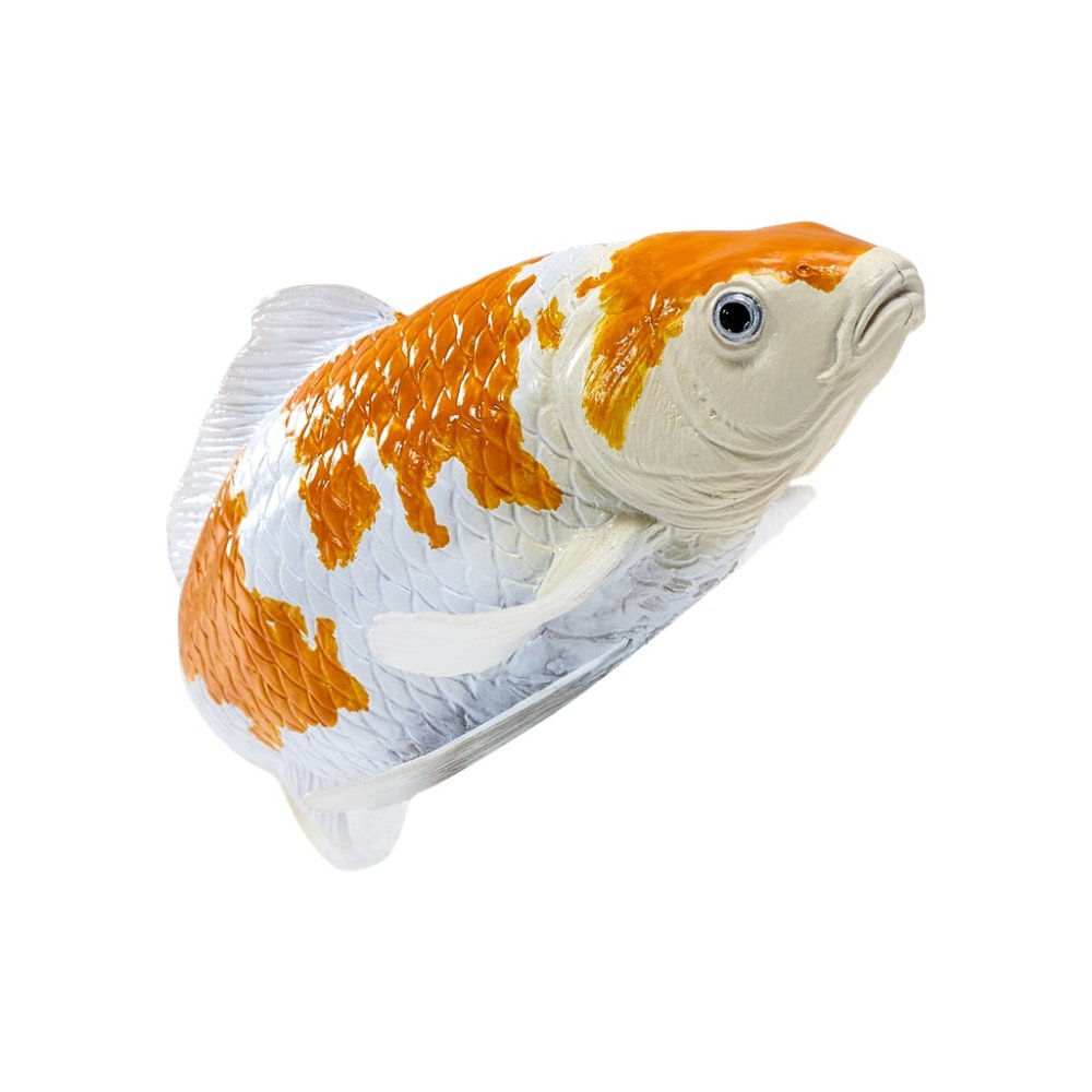 Mojo Kapr koi ochiba shigure (obrázek 8)