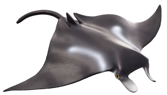 Mojo Rejnok manta