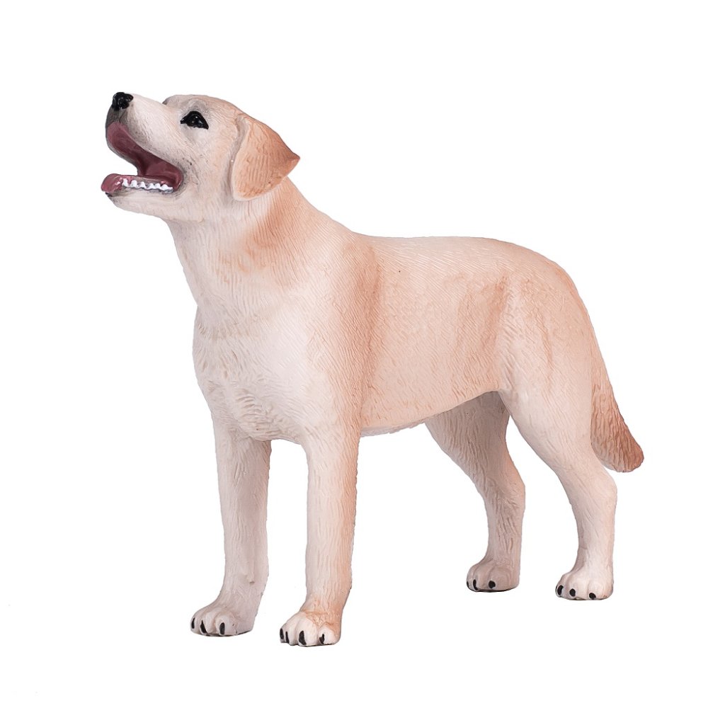 Mojo Labrador (obrázek 2)