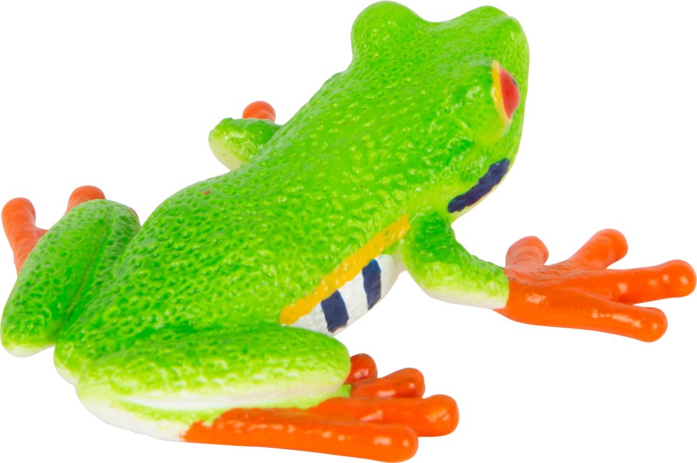 Mojo Listovnice červenooká (obrázek 3)