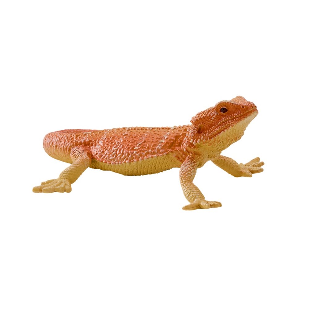 Mojo Agama