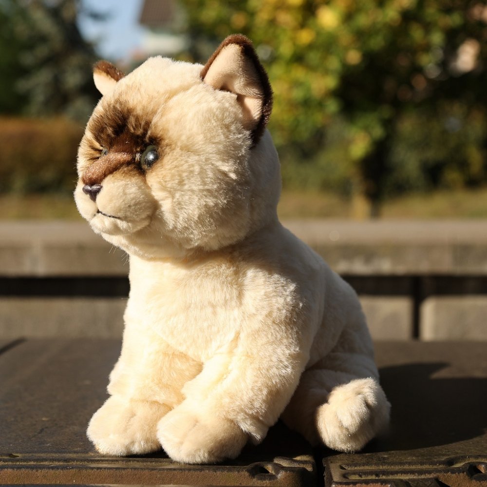 Rappa Plyšová kočka Ragdoll 23 cm SOFT COLLECTION, ECO-FRIENDLY (obrázek 5)