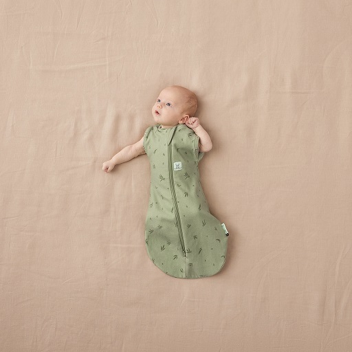 ERGOPOUCH Fascia E Sacco A Pelo 2in1 Cocoon Willow 3-6 M, 6-8 Kg, 0,2 Tog