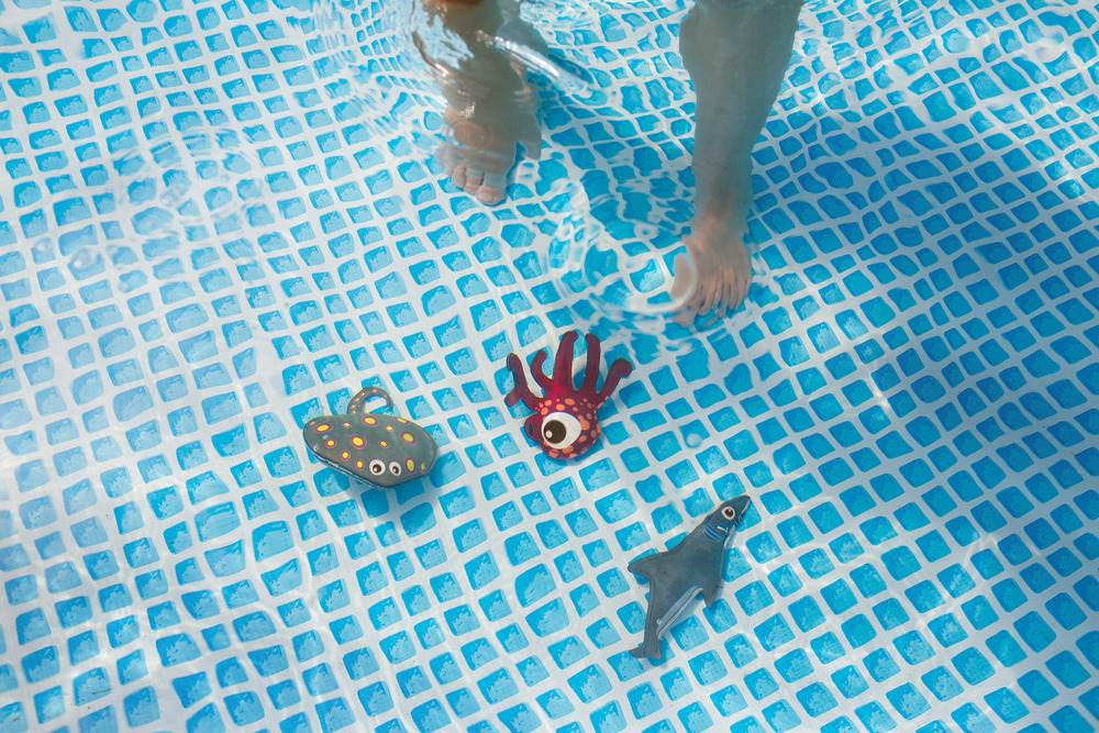 Animali marini per piccoli subacquei - gioco acquatico - immagine 3