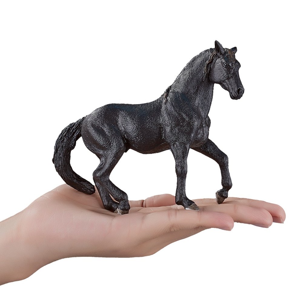 Mojo Cheval andalou noir – Image 3