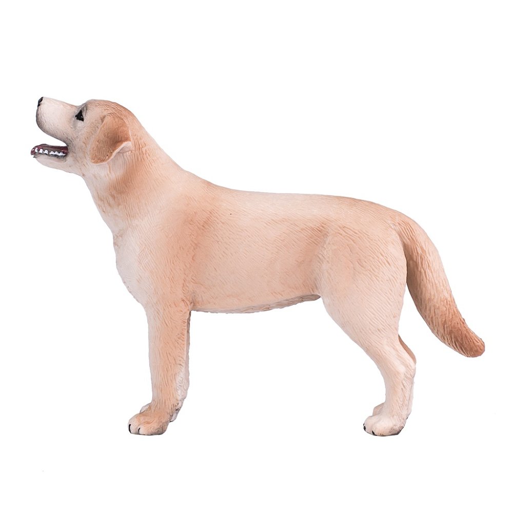 Mojo Labrador (obrázek 6)