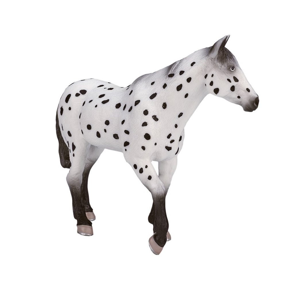 Mojo Appaloosa hřebec (obrázek 5)