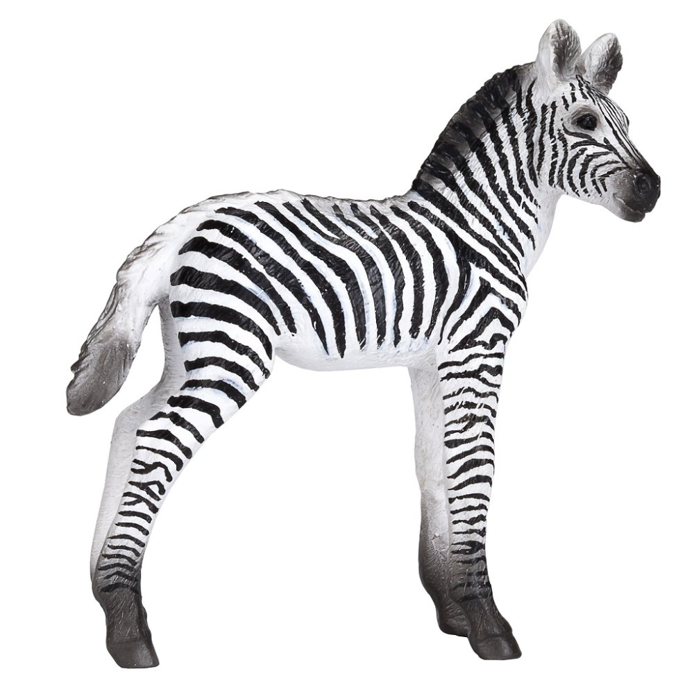 Mojo Zebra mládě (obrázek 4)