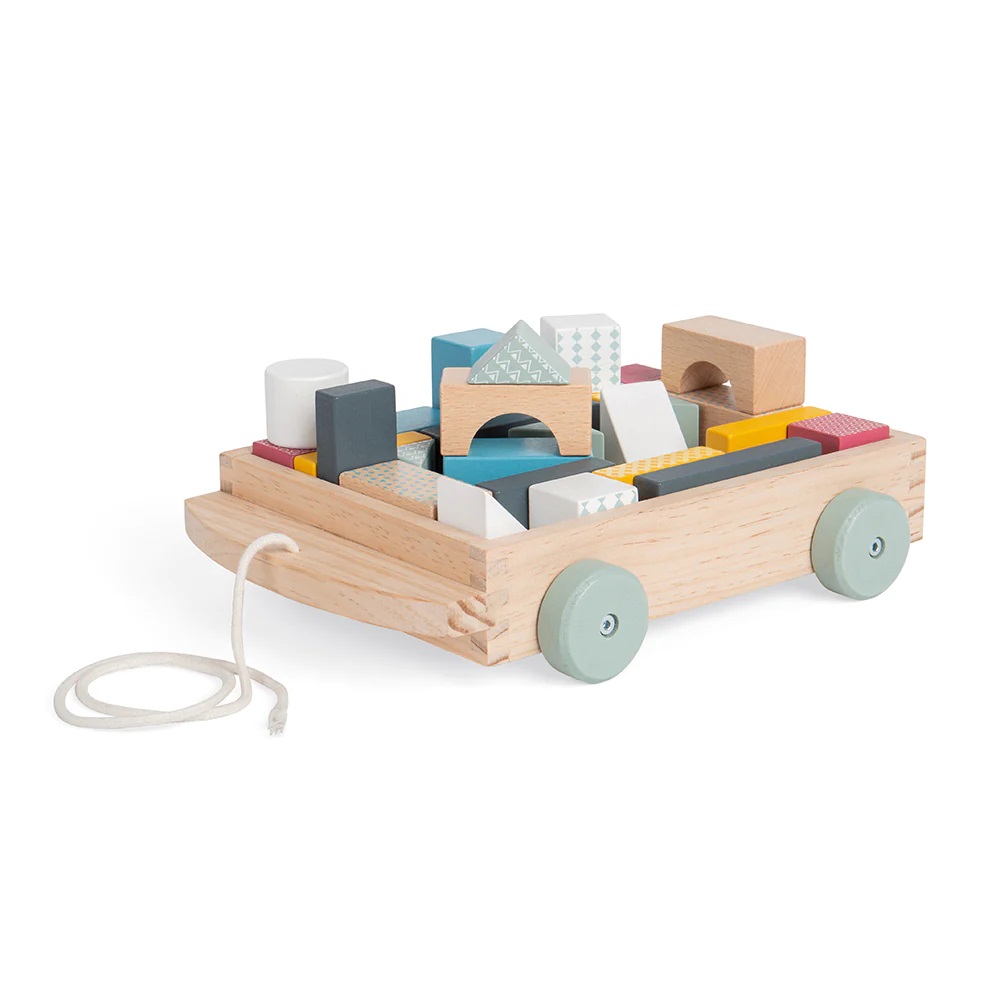 Bigjigs Toys Vozík s dřevěnými kostkami (obrázek 8)