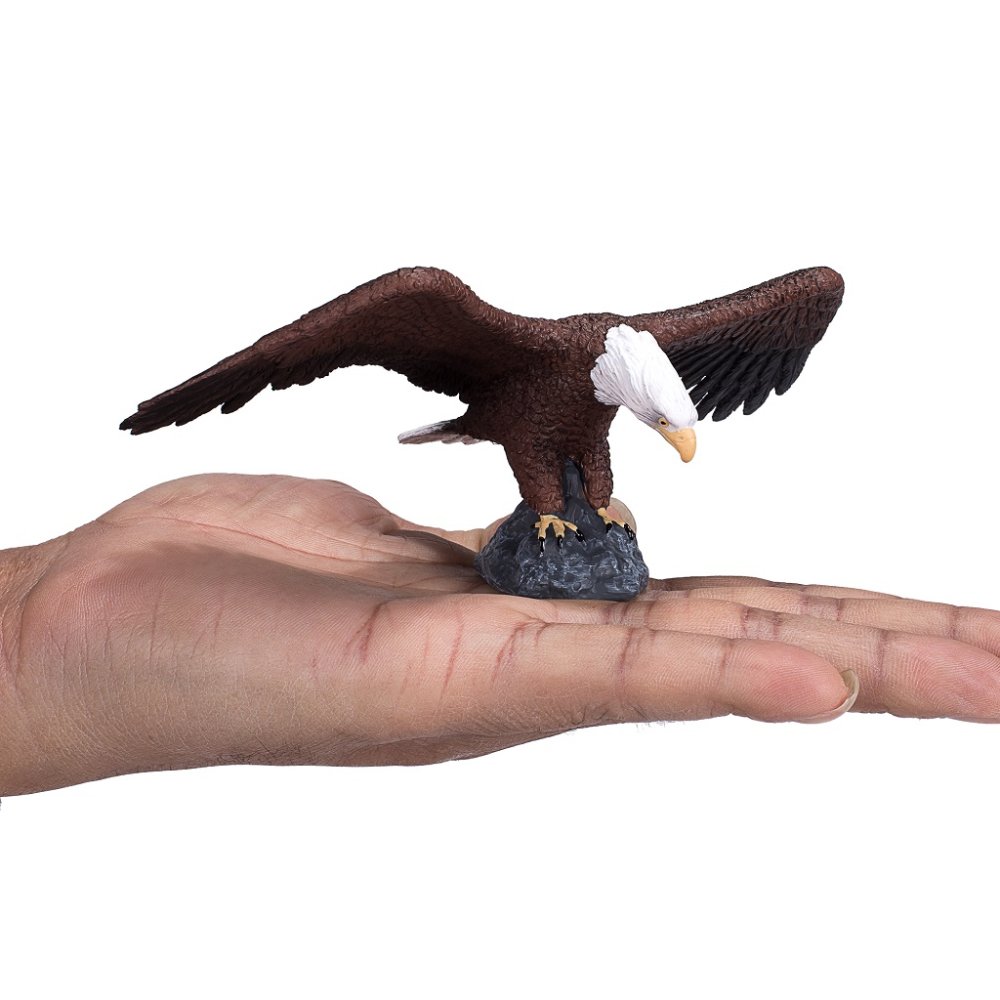 Mojo Águila Calva - Imagen 5