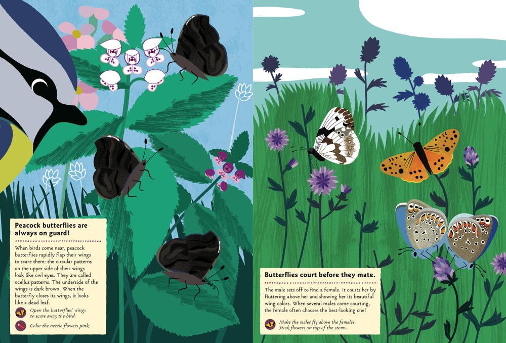 Chronicle Books Kniha aktivit se samolepkami my nature Motýli světa (obrázek 5)