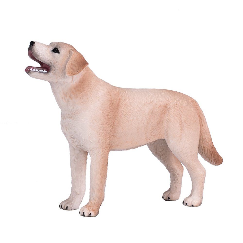 Mojo Labrador (obrázek 4)