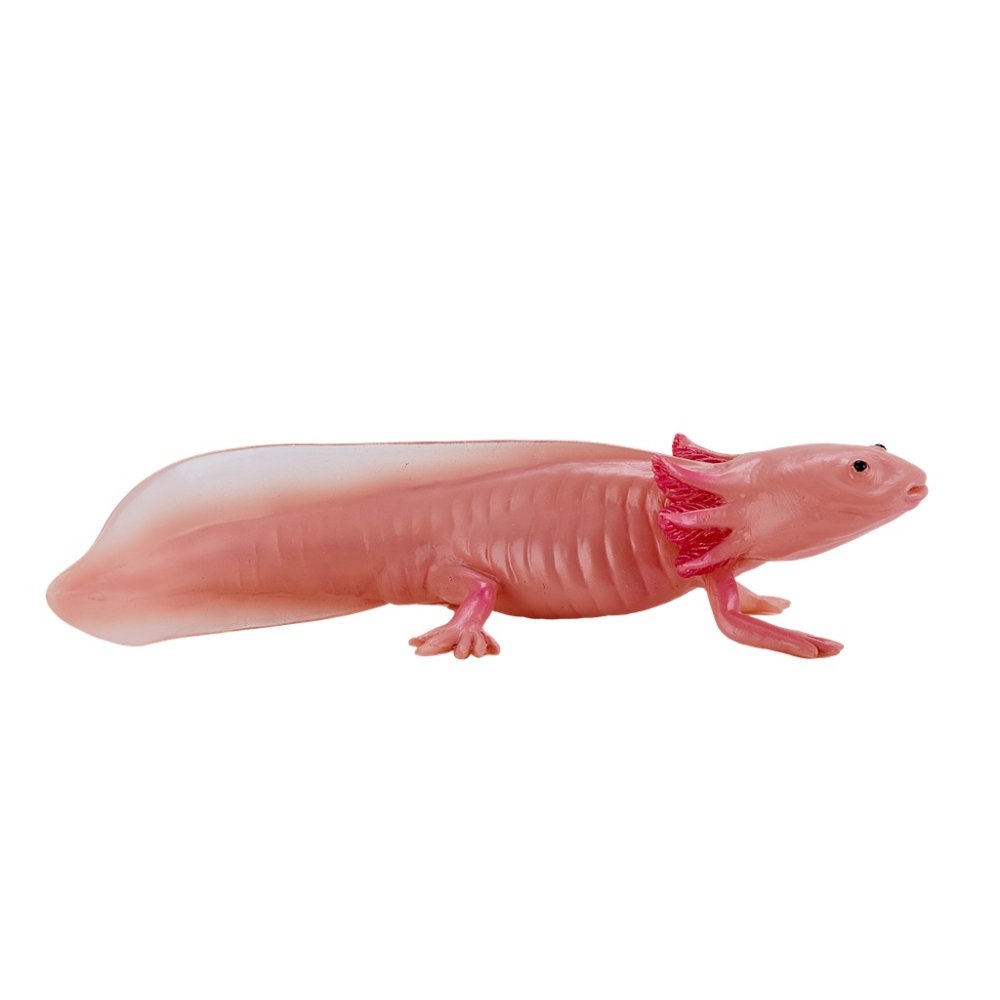 Mojo Axolotl (obrázek 3)