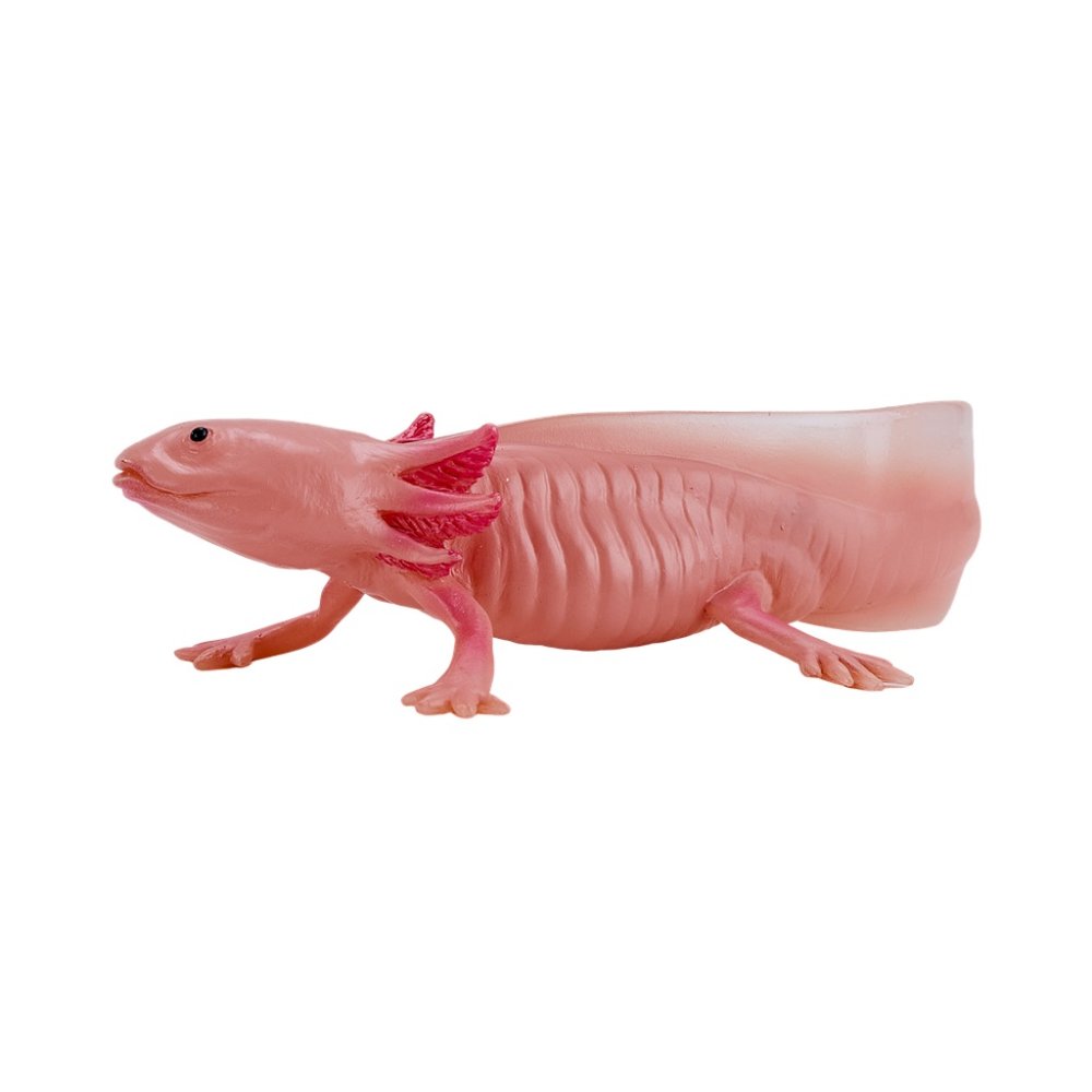 Mojo Axolotl (obrázek 7)